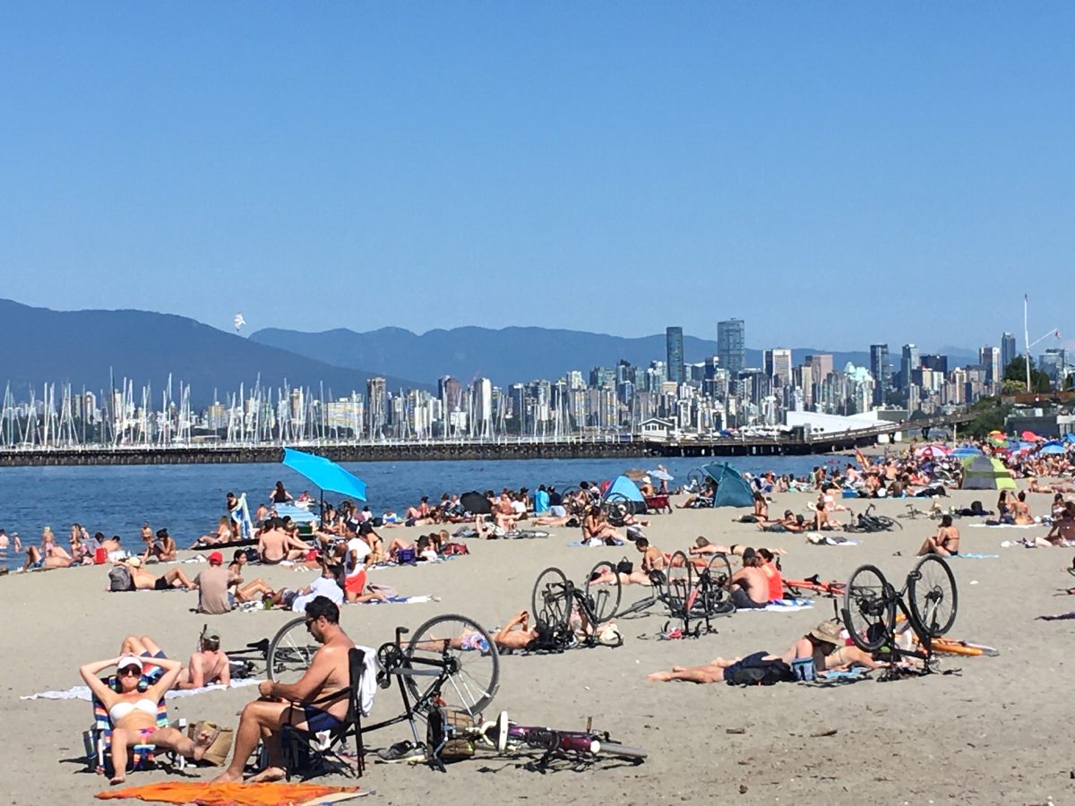 Kits Beach Daytime Maude, MacKay & Co. Ltd.